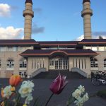 18160887_1908254896088372_7966154265146163200_n